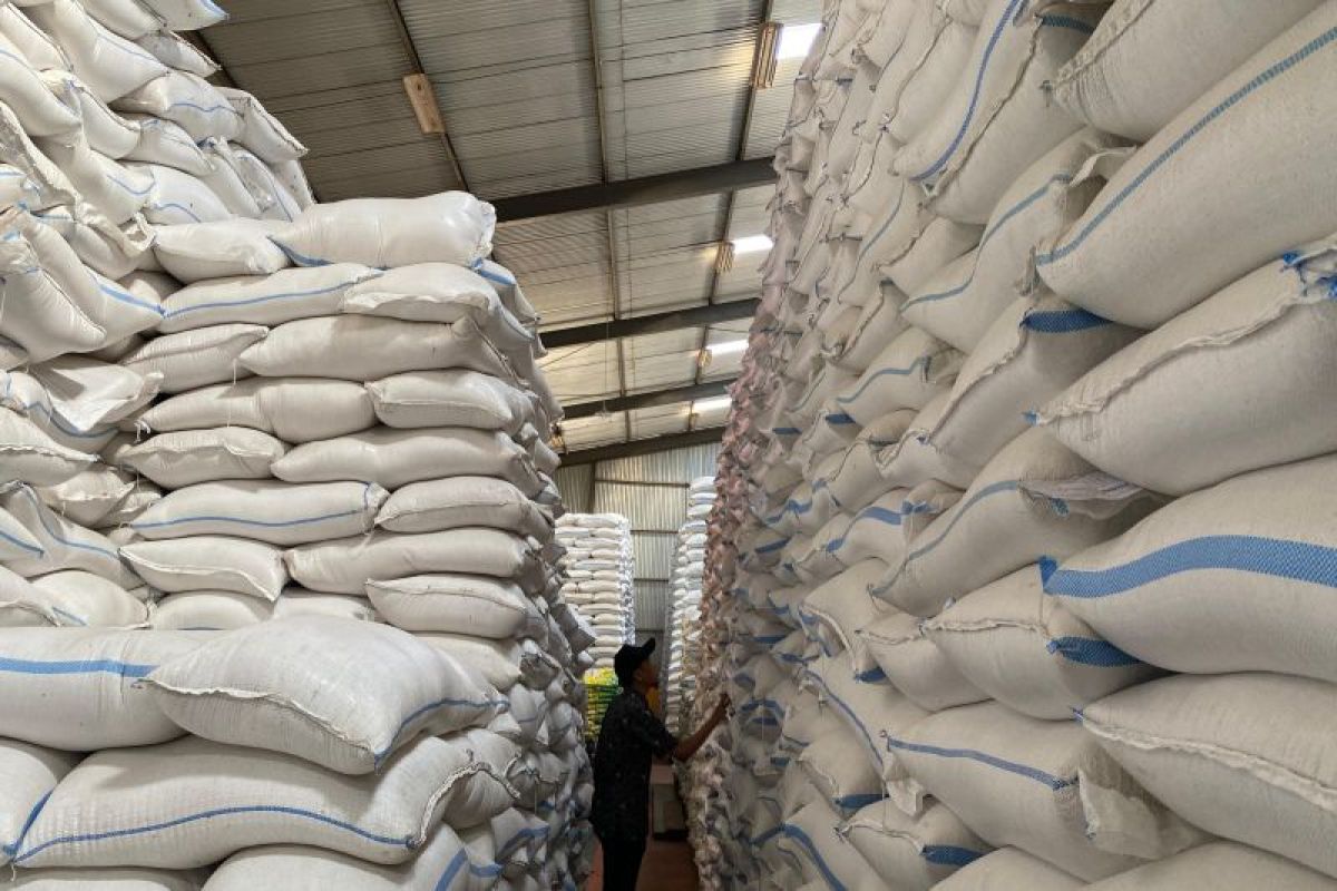 Jangan terlena oleh rekor, produksi beras harus terus dijaga