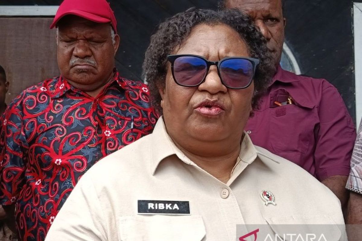 Wamendagri kecam insiden pembakaran pesawat AMA di Papua Pegunungan