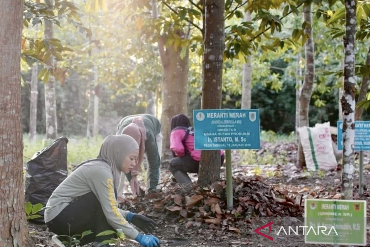 Dishut Kalsel jadikan taman hutan tropis contoh ekonomi sirkular