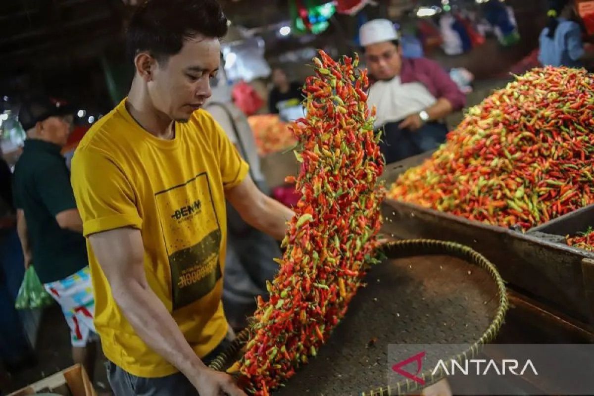 PIHPS: Harga cabai rawit Rp65.000/kg, telur ayam Rp25.000/kg