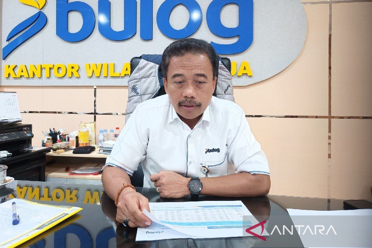 Bulog sebut penyaluran bantuan pangan di Tanah Papua capai 95 persen
