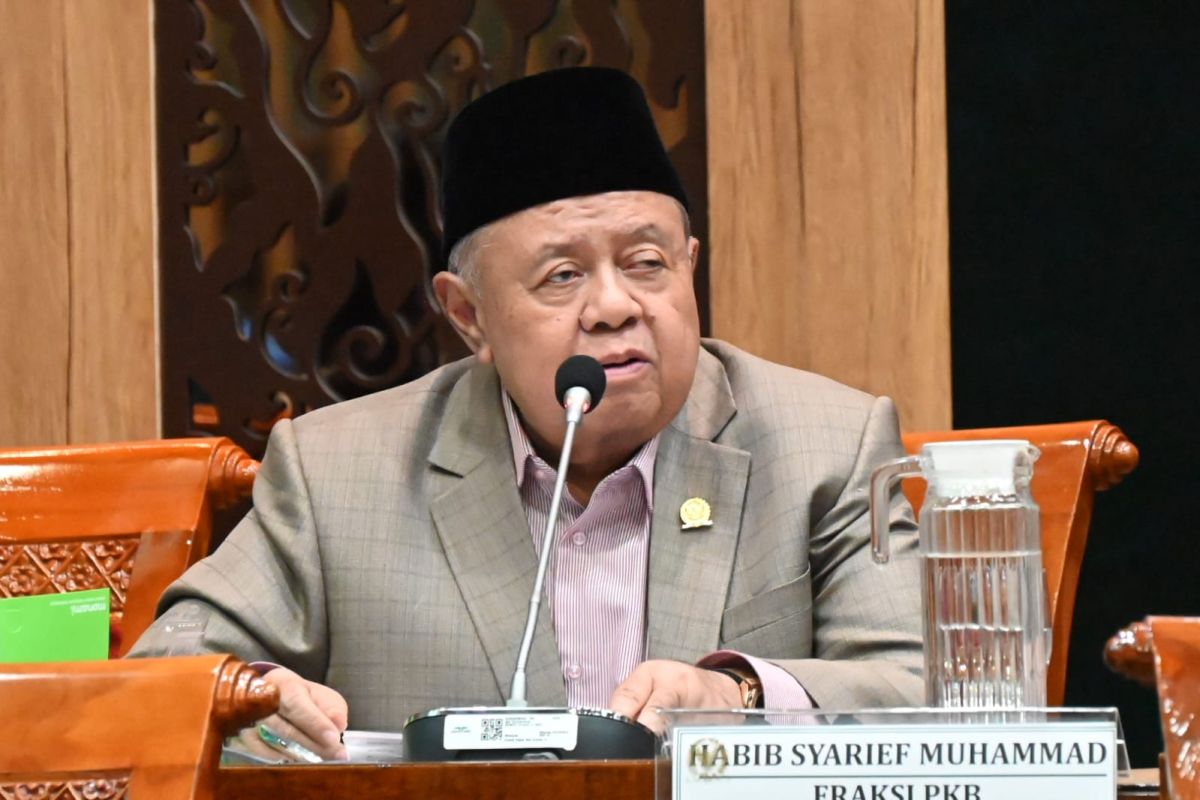 Legislator: Anggaran sektor perpustakaan investasi jangka panjang RI