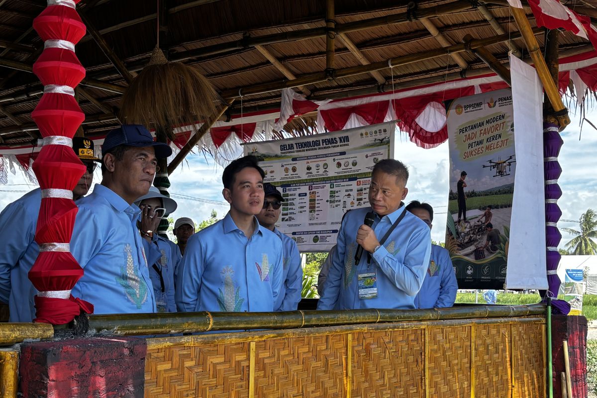 Wakil Presiden Gibran Temui Petani dan Nelayan untuk Atasi Tantangan Utama