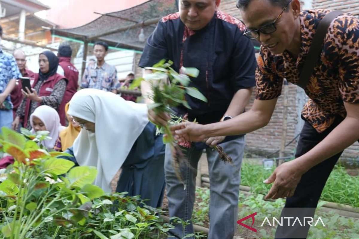 Wali kota Makassar ajak warga manfaatkan pertanian perkotaan