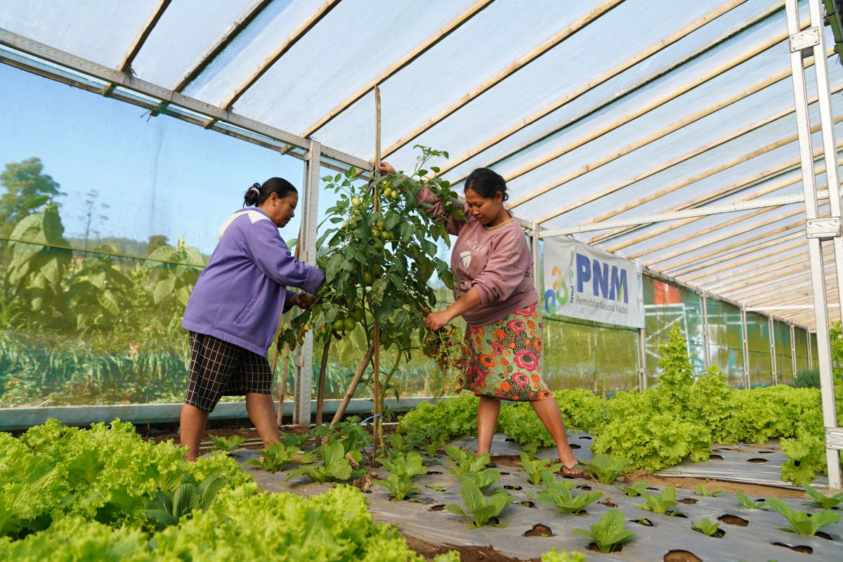 Indonesia Sustainability Award apresiasi komitmen ESG dan pemberdayaan berkelanjutan PNM