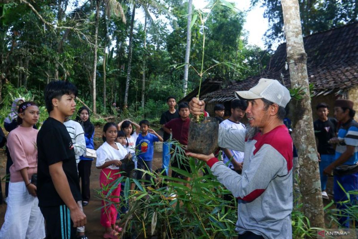 Menanam bambu untuk menjaga mata air