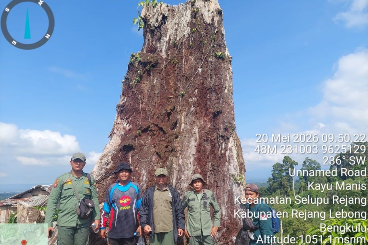 Kerusakan kawasan hutan TNKS Seksi VI Bengkulu capai 10.000 hektare
