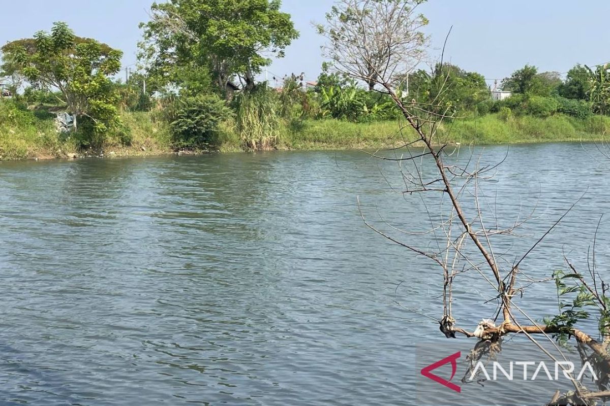 DLHK Banten investigasi pencemaran Sungai Ciujung