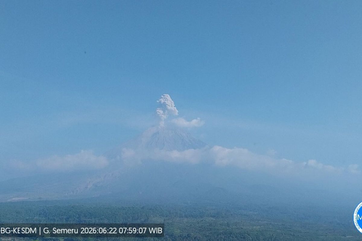 Semeru erupsi dengan tinggi letusan capai 1.000 meter di atas puncak