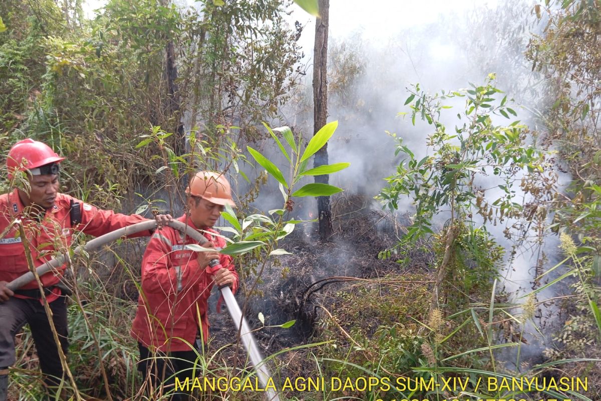 Luasan karhutla di Sumsel capai 305,4 hektare