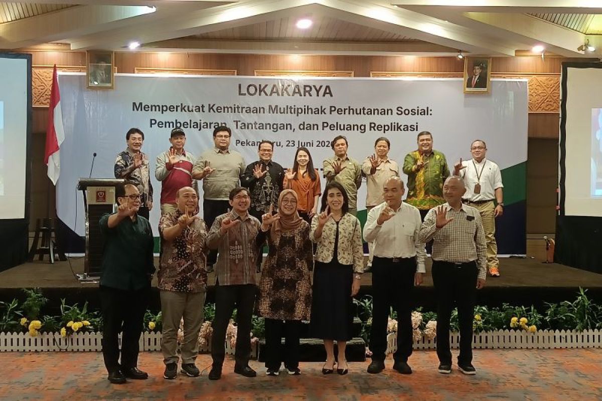 Indonesia pushes downstreaming of 10 social forestry commodities