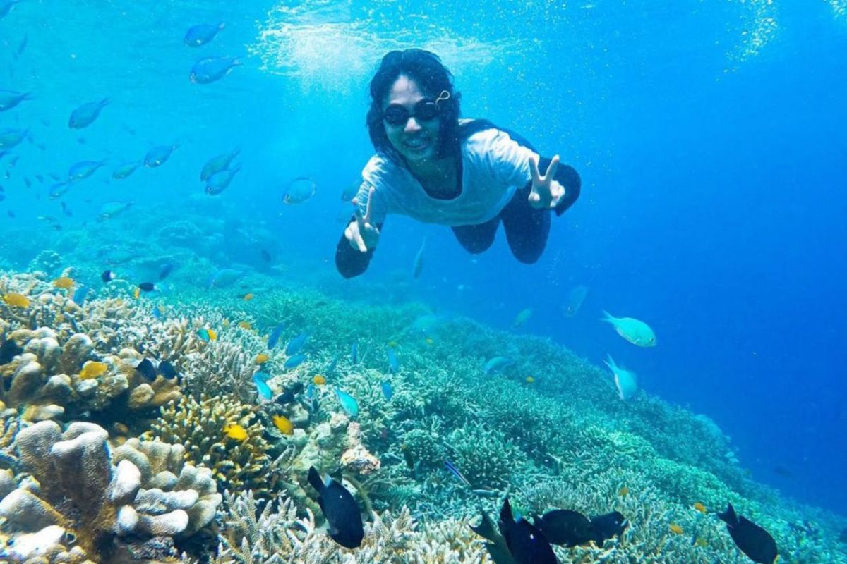 DKP Kaltim genjot potensi ekonomi biru perairan Derawan