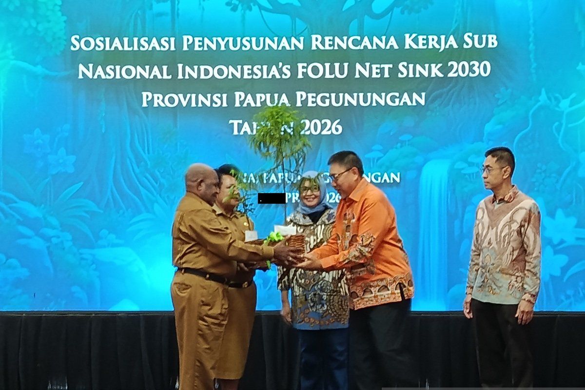 Kemenhut dorong Pemprov Papua Pegunungan tanam pohon jaga kelestarian hutan