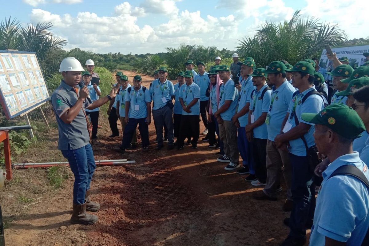 Praktisi: Petani sawit berorientasi kuantitas belum kualitas buah