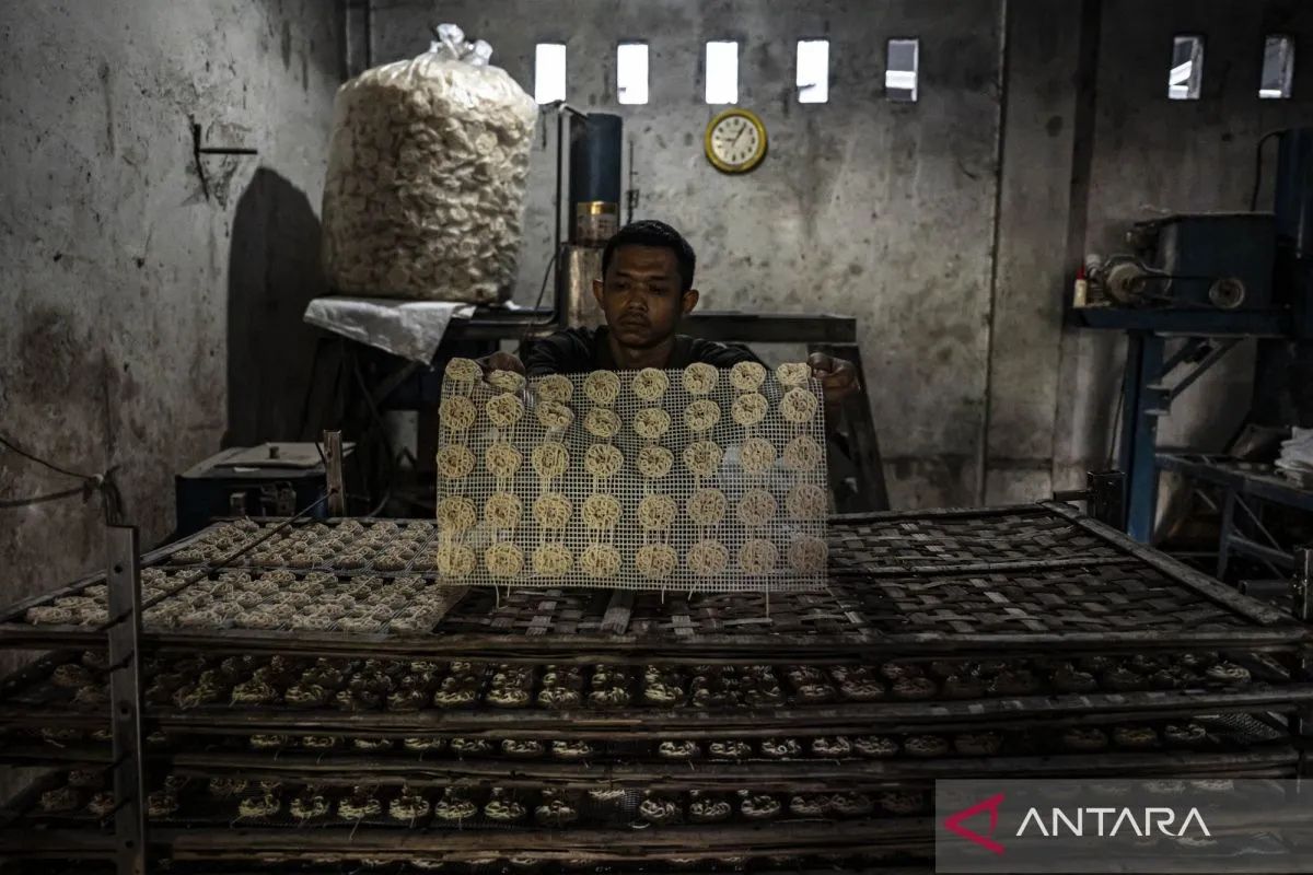 Penyamarataan akses perbankan dapat picu peningkatan pembiayaan UMKM