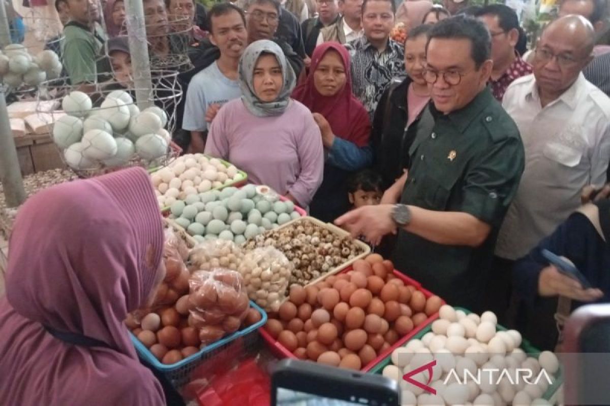 Mendag: Pemerintah terus jaga stabilitas harga bahan kebutuhan pokok