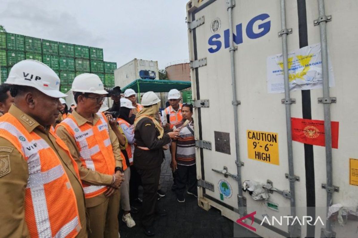 DKP sebut pembangunan "cold storage" di Papua antisipasi fluktuasi produksi