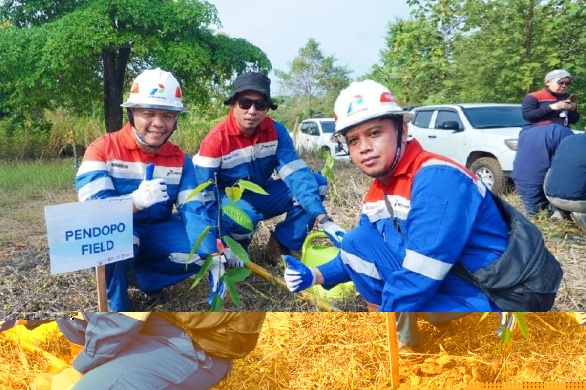 Pertamina EP Zona 4 tanam 3.650 pohon pakan gajah sumatera di Musi Rawas