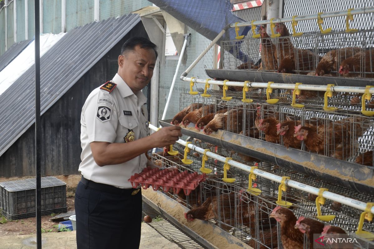Lapas Salemba hadirkan pembinaan produktif lewat budidaya ayam petelur