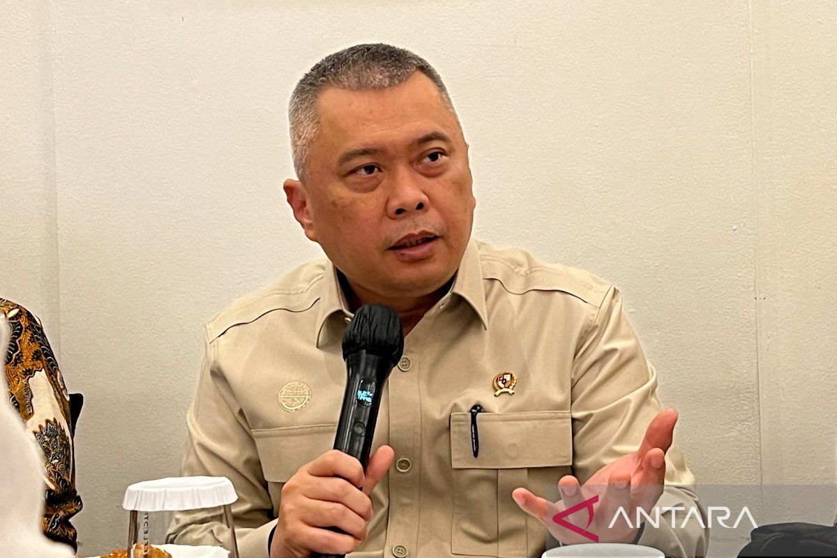Menhub: TBA tiket pesawat dirumuskan, penerapan tunggu avtur stabil
