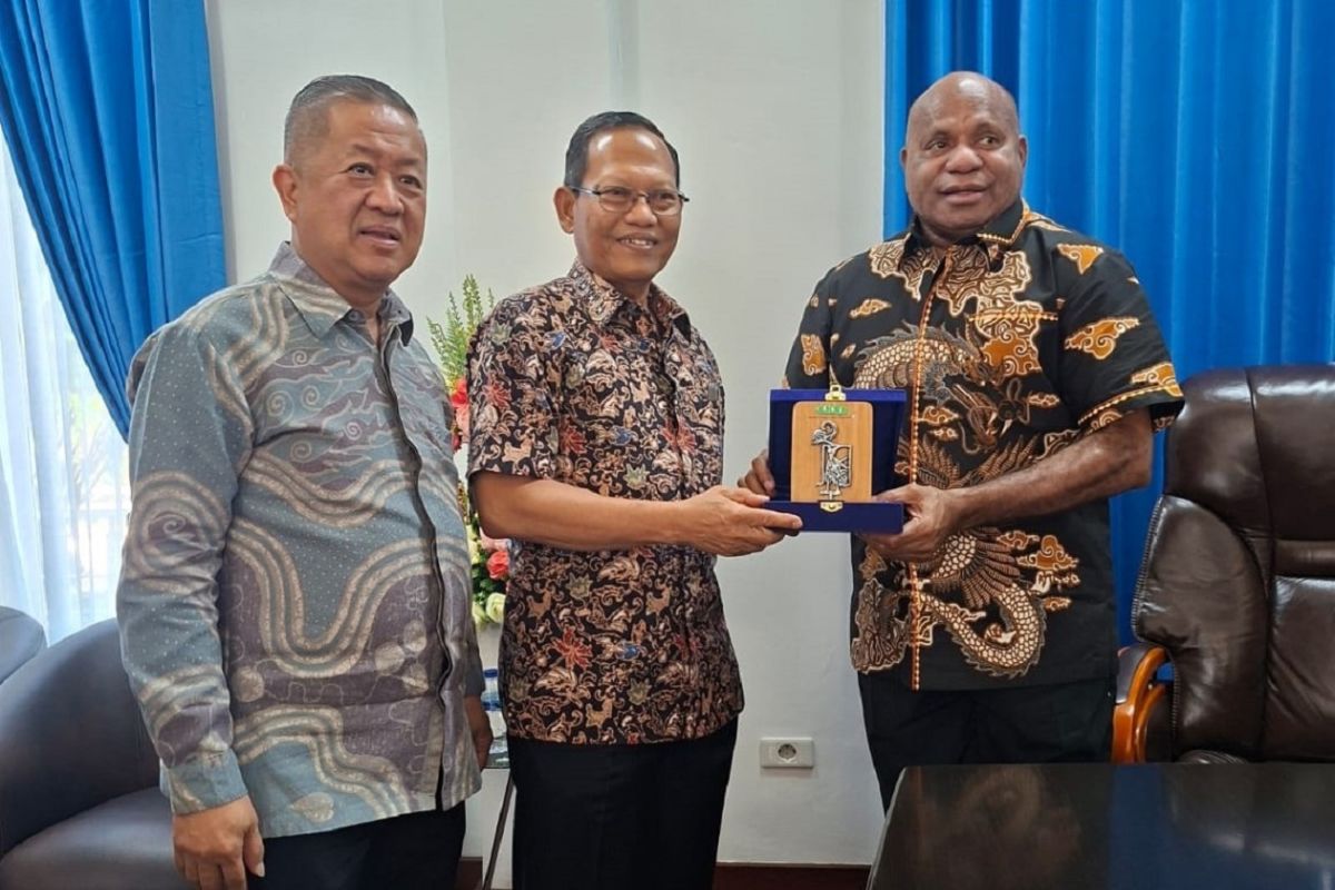 APHI: Papua memiliki potensi besar kembangkan multiusaha kehutanan