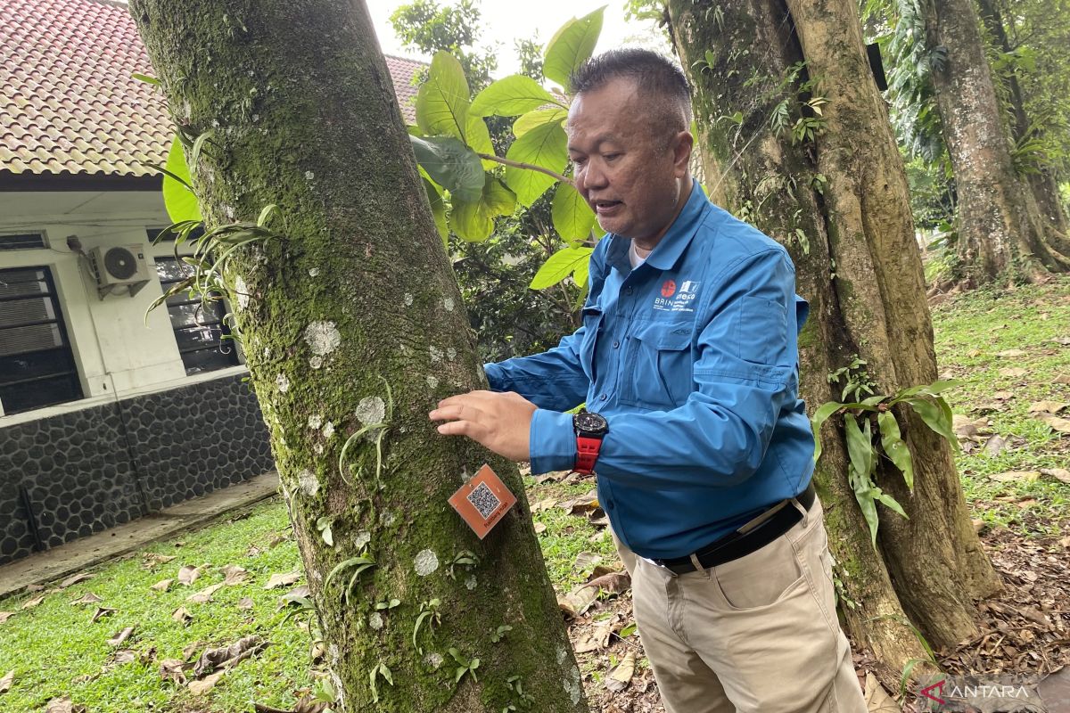 Kemenhut: Memanfaatan hutan bukan berarti merusak hutan
