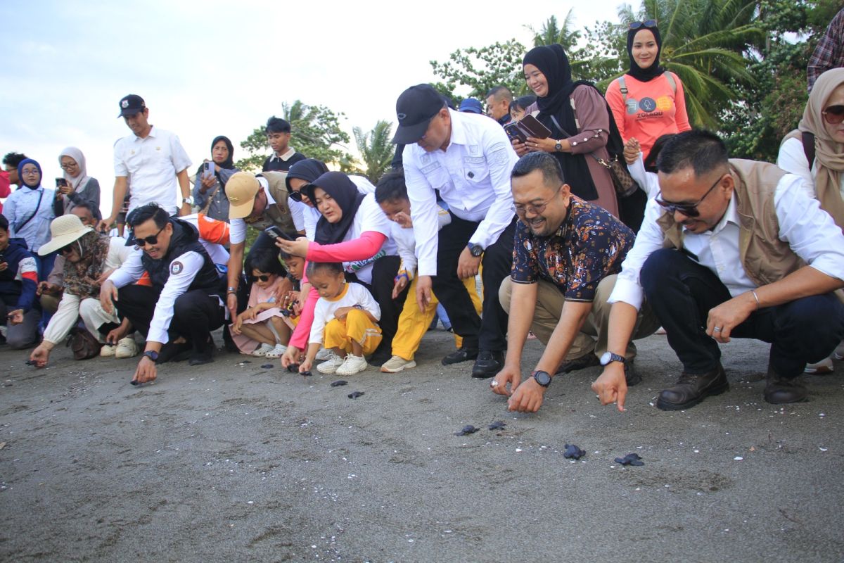 Festival Penyu Mampie mendorong destinasi wisata berkelanjutan