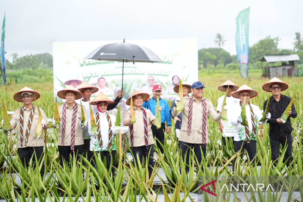 Kementan dorong hilirisasi produk lidah buaya di Pontianak