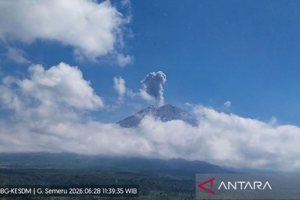 Semeru erupsi dengan tinggi letusan 1.000 meter di atas puncak