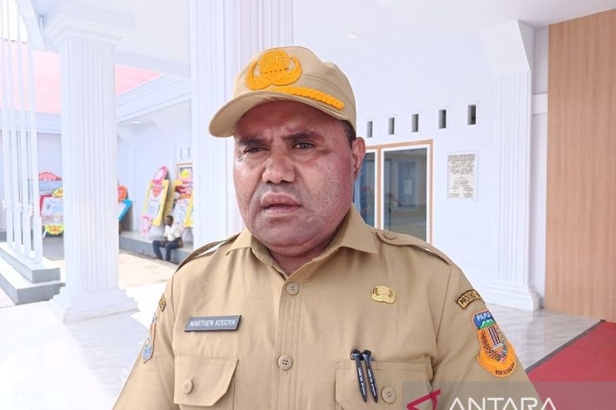 Papua Pegunungan focuses special autonomy funds on Papuan economy