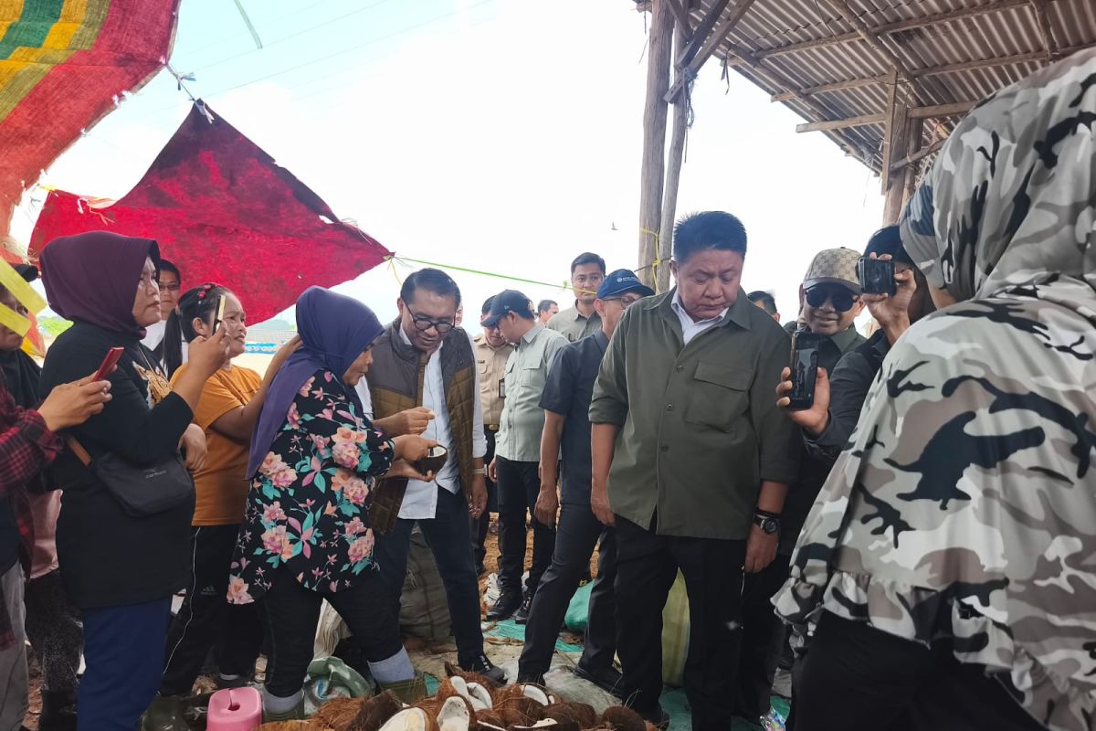 Gubernur Herman Deru ajak OJK dan BI perkuat usaha perkebunan kelapa