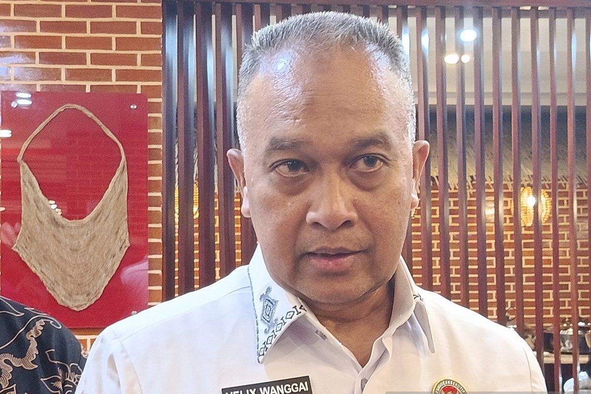 KEPP sebut fiber optik solusi tingkatkan kualitas internet di Papua Pegunungan
