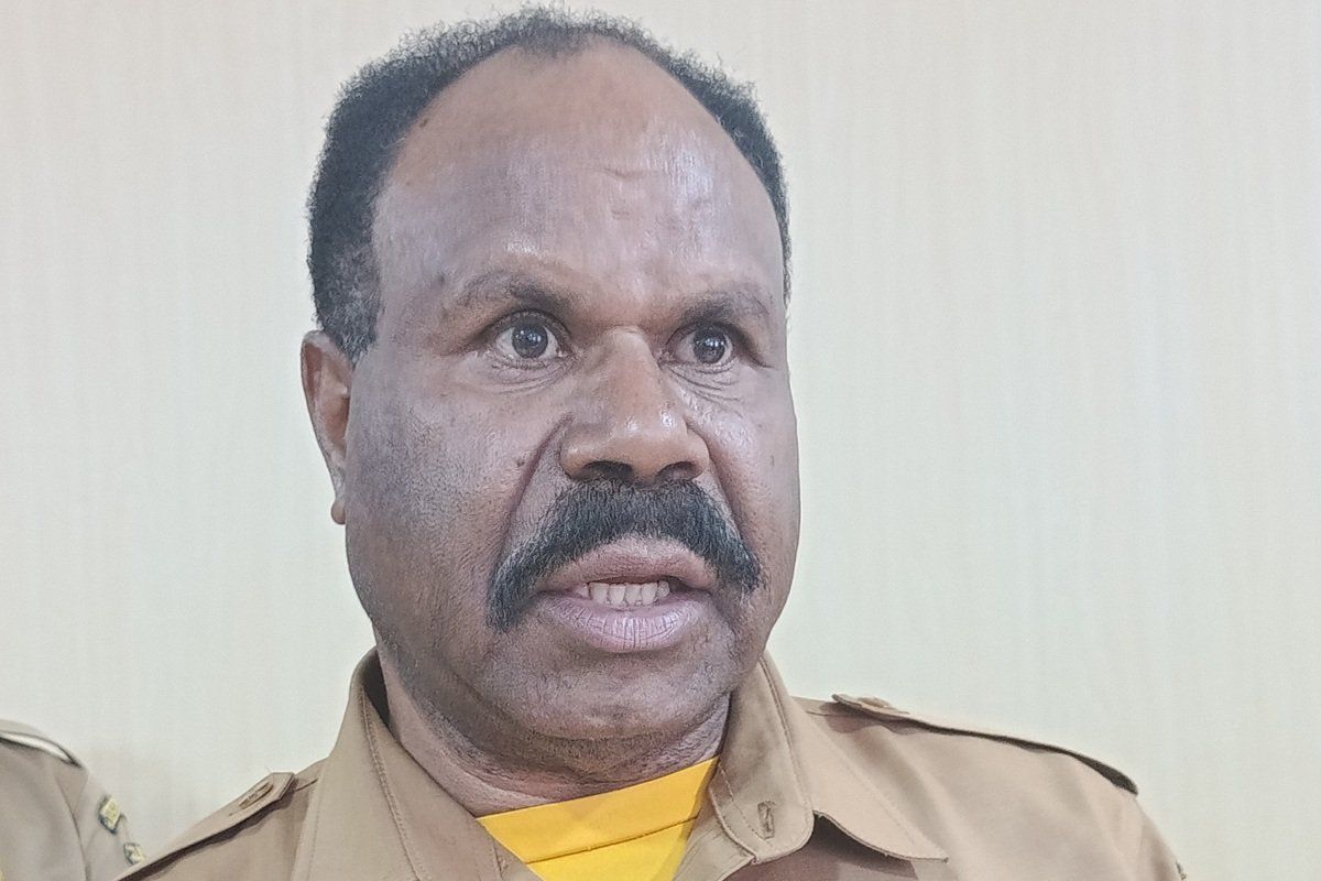Pemprov Papua Pegunungan buka lahan pertanian 24 hektare selama 2026