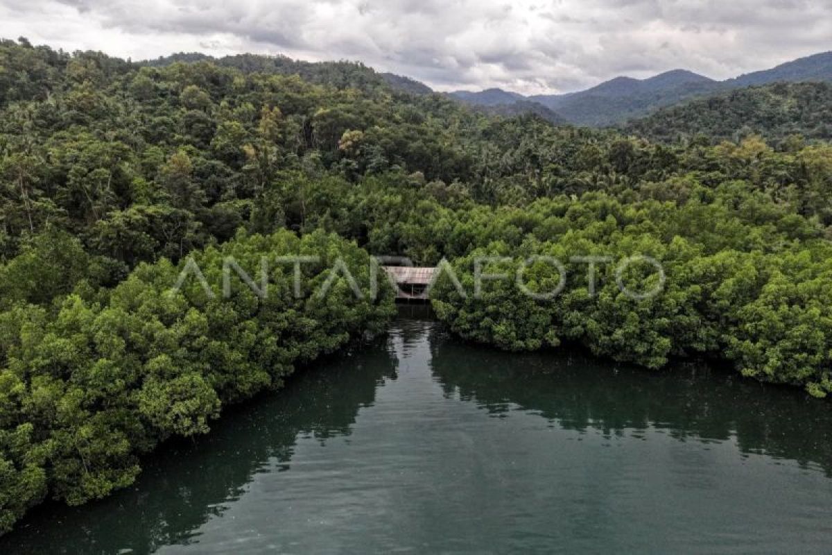 KKP perkenalkan Ocean Calculator hitung nilai ekonomi ekosistem laut
