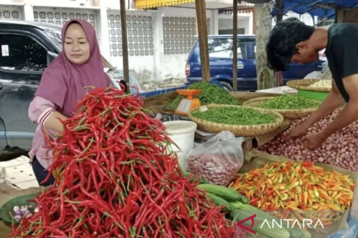 Kabupaten Wonosobo pastikan distribusi komoditas strategis berjalan baik