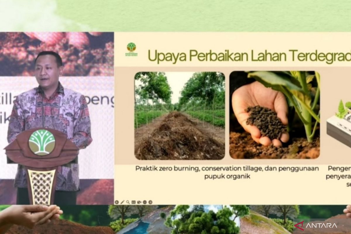 Transaksi Karbon Hutan Diproyeksikan Raih Rp5 Triliun: Janji Manis atau Bumerang bagi Petani dan Masyarakat Adat?