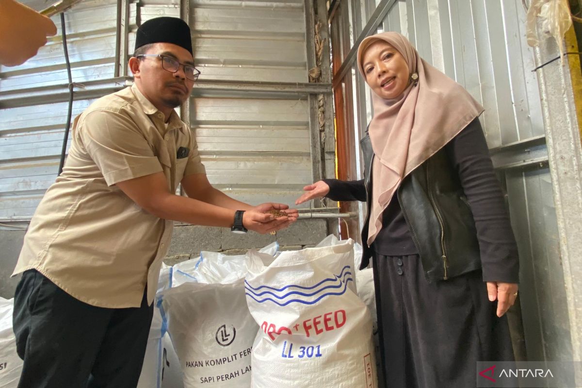 Diskannak Garut: Pakan hasil riset IPB untuk alternatif saat kemarau