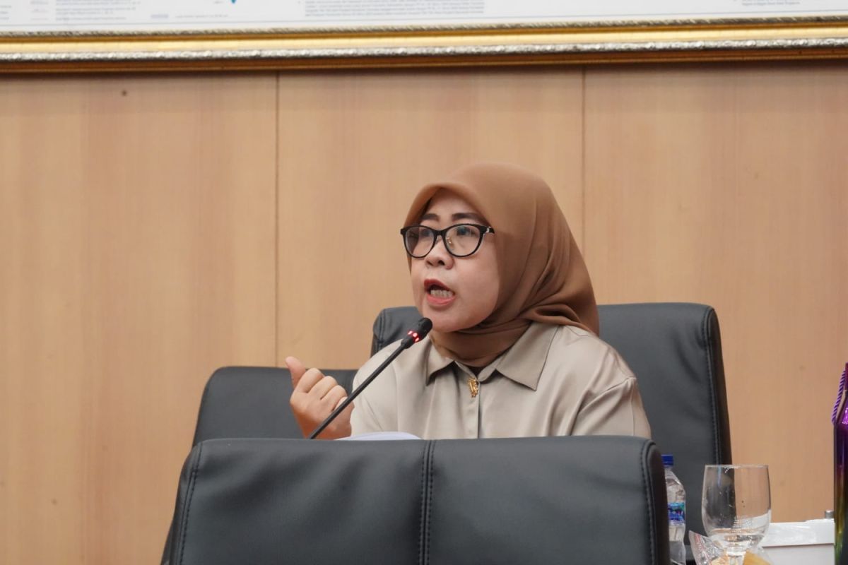 RUU Daerah Kepulauan perkuat afirmasi dan perlindungan wilayah pesisir