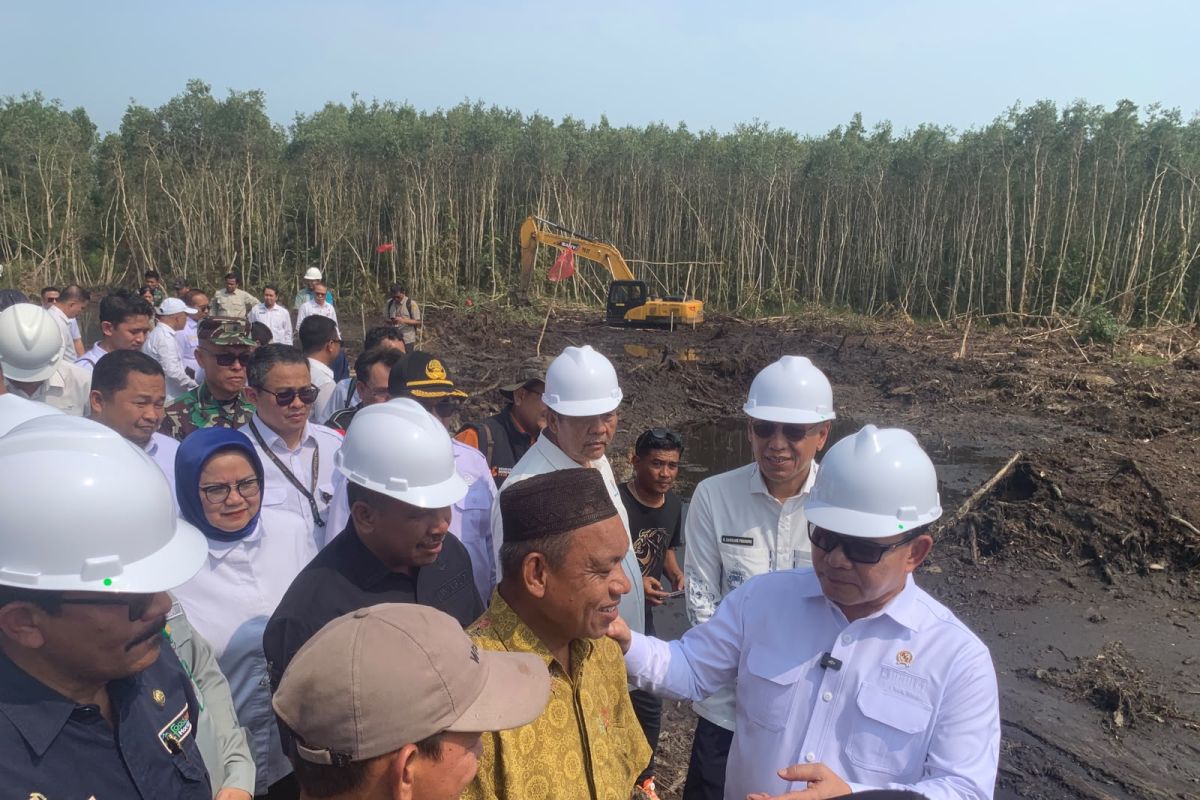 KSP Dudung: Lahan cetak sawah di Sumsel jangan dialihfungsikan
