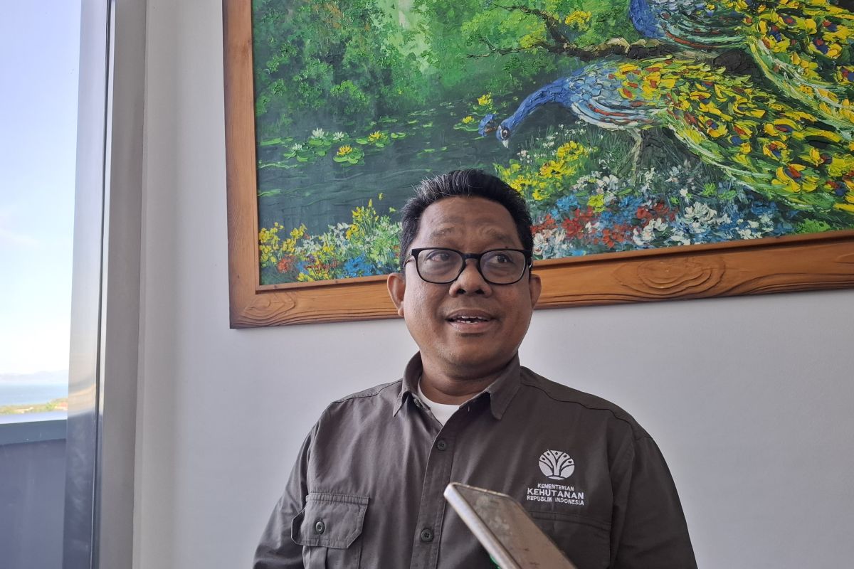 Kemenhut: Gunakan burung hasil penangkaran untuk lomba berkicau