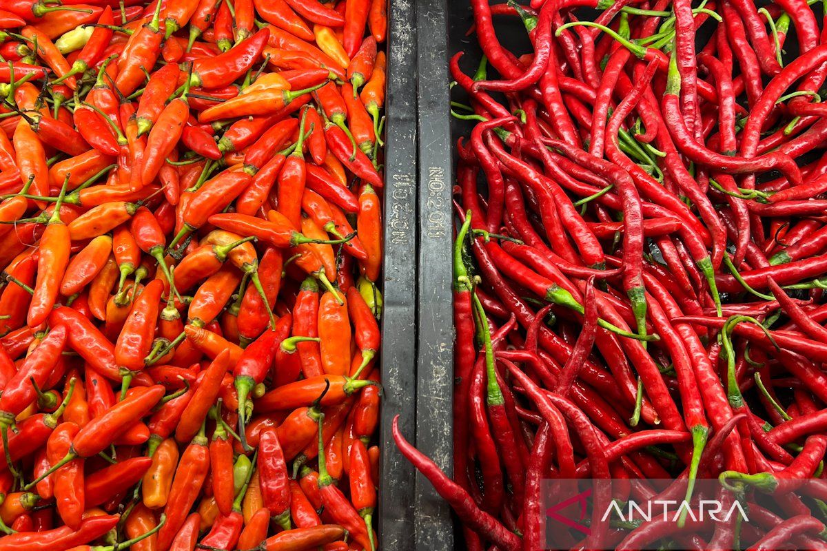 Harga cabai rawit Rp63.900/kg, telur ayam Rp29.250/kg pada Kamis pagi