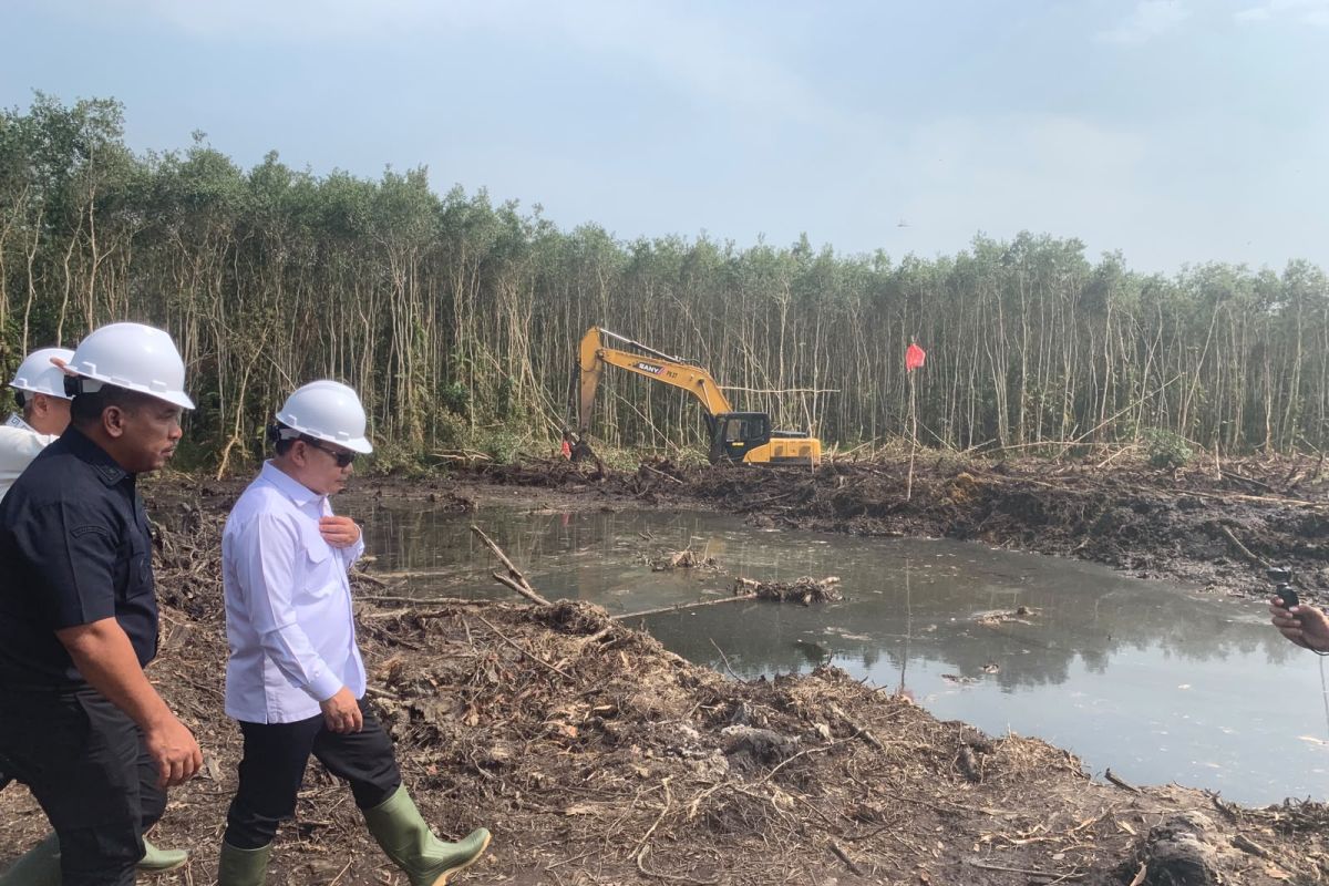 KSP Dudang 確保稻田農民獲得免費肥料和種子
