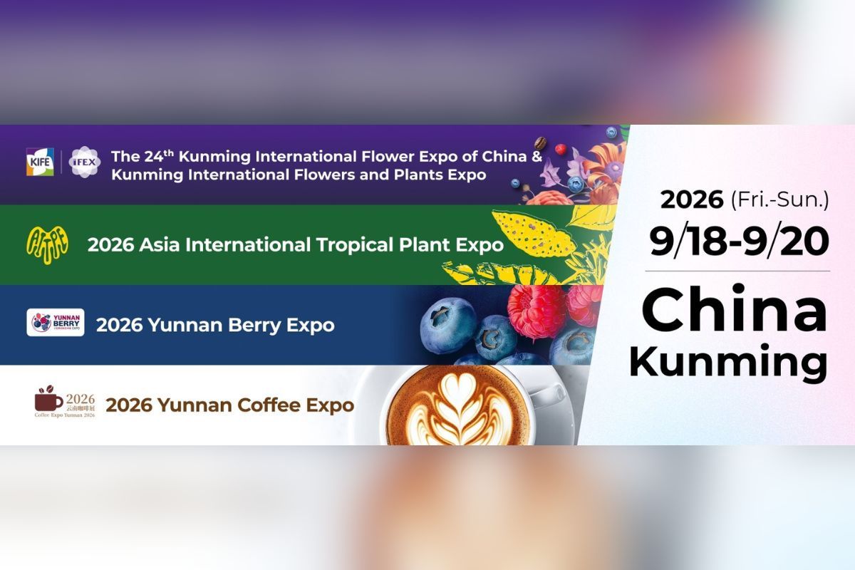 Ekspor Bunga Yunnan Terus Tumbuh Pesat Menjelang IFEX Kunming 2026