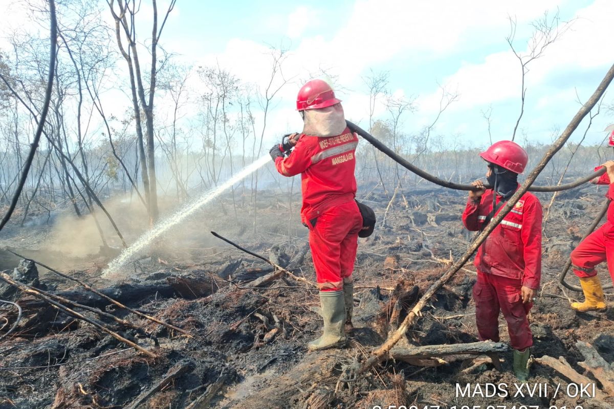 BNPB tangani karhutla ribuan hektare di Kalbar, Riau, dan Sumsel