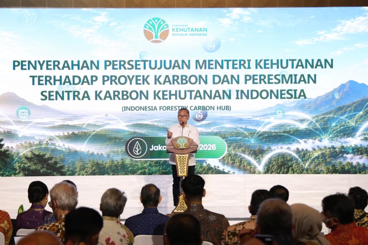 Menko Pangan: Pasar karbon harus memberi manfaat bagi masyarakat hutan