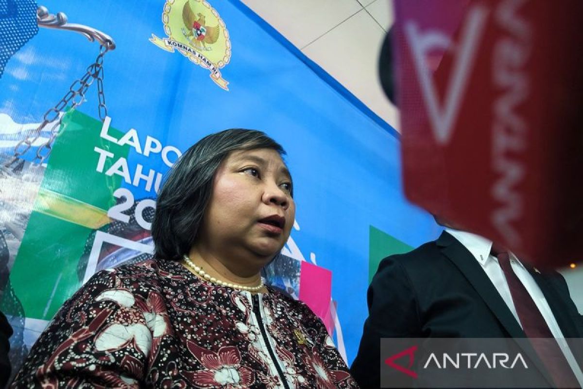 Komnas HAM dorong dialog kemanusiaan untuk hentikan konflik Papua