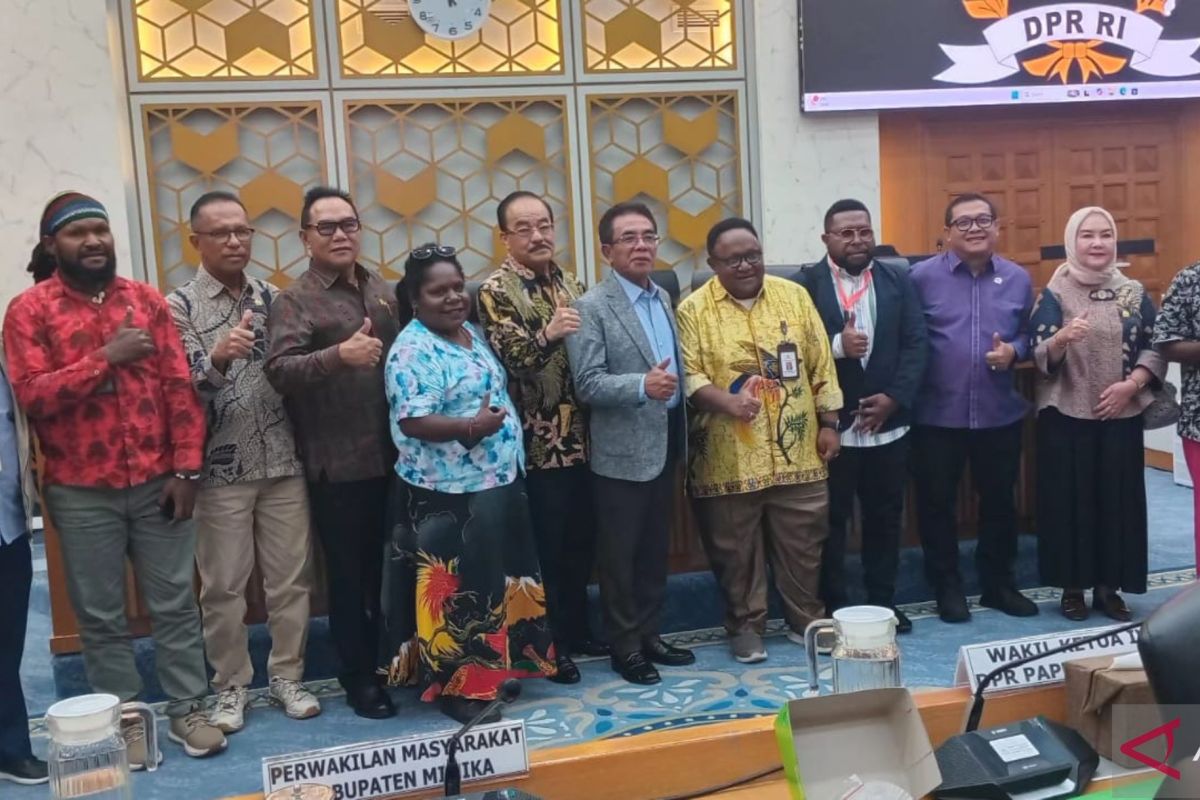 Komisi IV bentuk tim investigasi dampak tailing PT Freeport di Timika