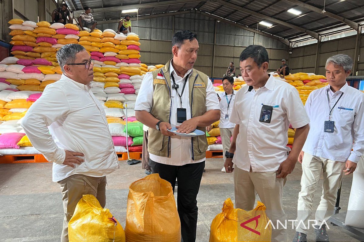 Dirut Bulog tinjau stok beras Jayapura, perkuat pasokan 3 kali lipat