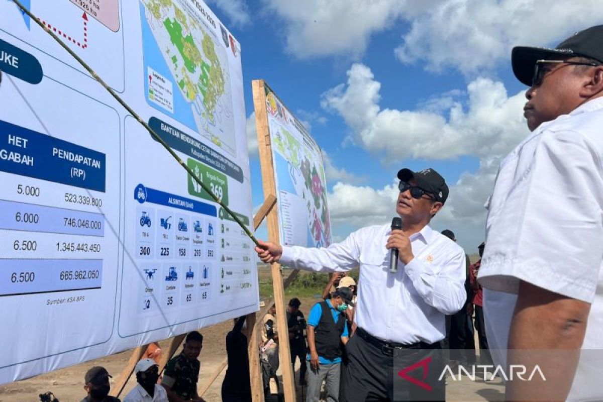 Mentan Amran tingkatkan produktivitas pertanian Merauke lewat PM AAS