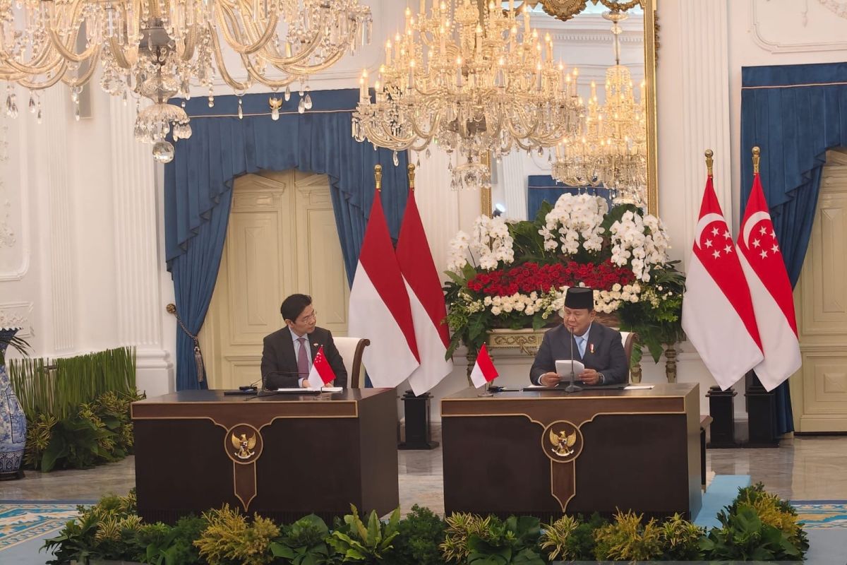 Prabowo tunjuk Danantara laksanakan perdagangan listrik dengan Singapura